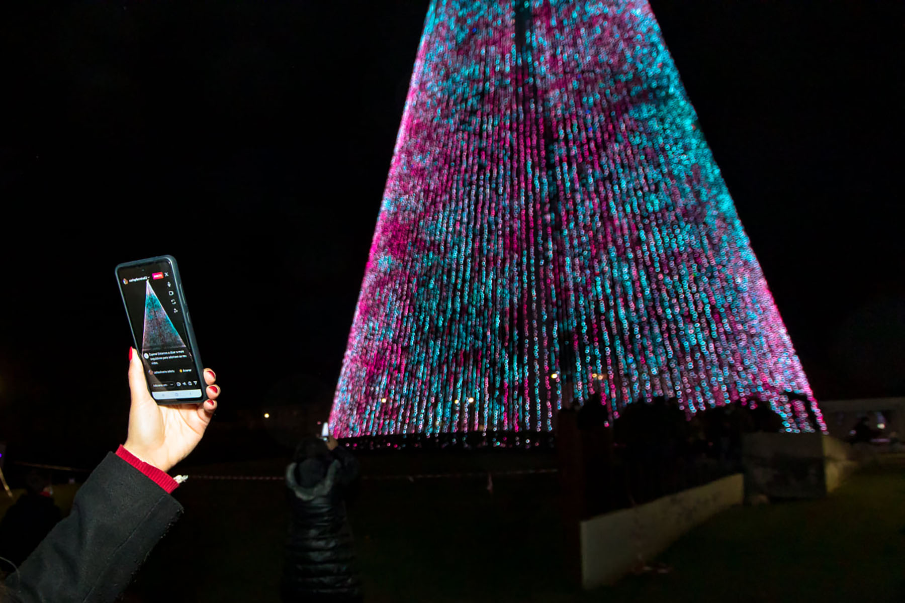 Maior árvore de Natal do país não fica na Maia, mas está bem perto Maior árvore de Natal do país não fica na Maia, mas está bem perto